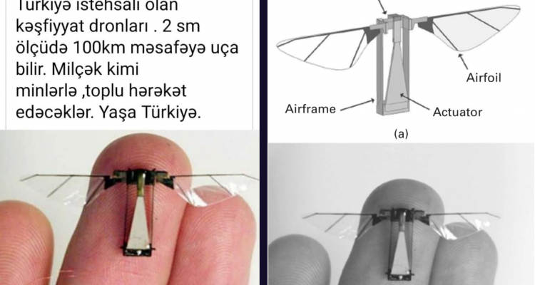 Türkiyə istehsalı deyilən böcək-dron - FactCheck