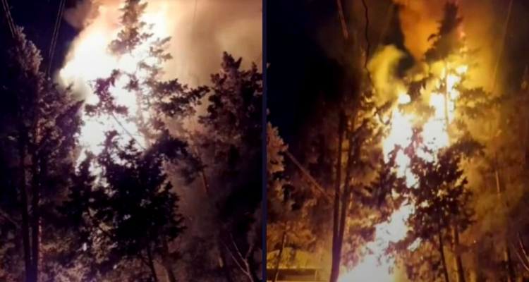 Bakıda Novruz tonqalından ağaclar yandı VİDEO